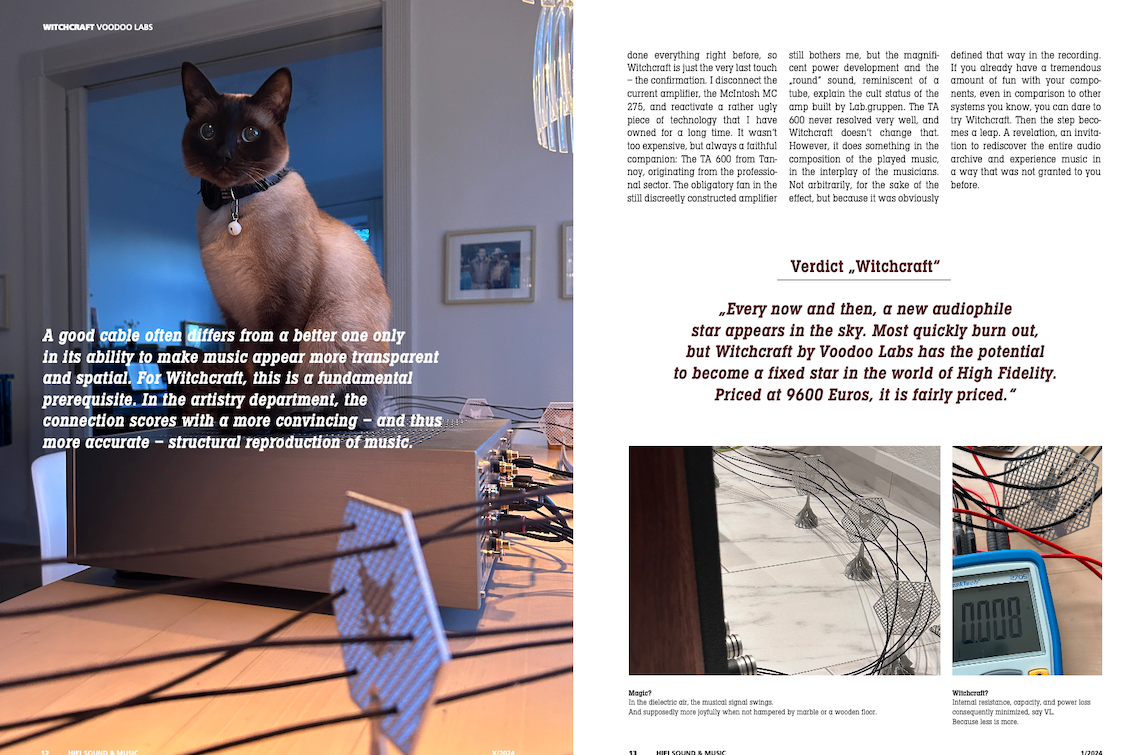 VL  WITCHCRAFT™ MASTER Cinch/RCA 80cm