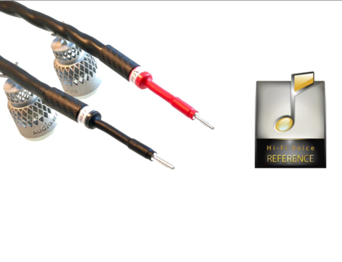 VL  CARBON AGE™ MASTER Speaker Cable 2m