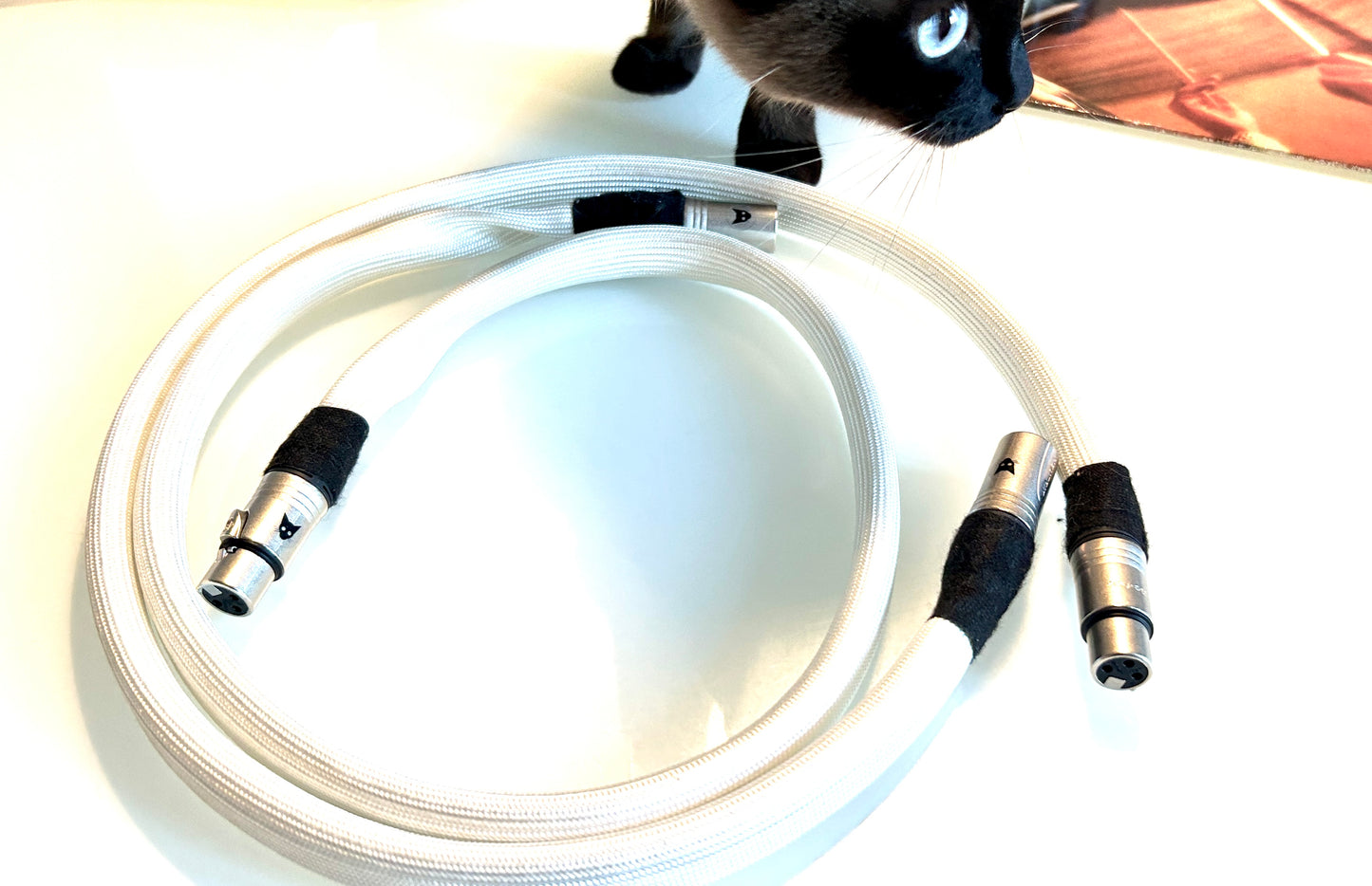 VL  RARE EARTH™ DARK MATTER XLR 100cm